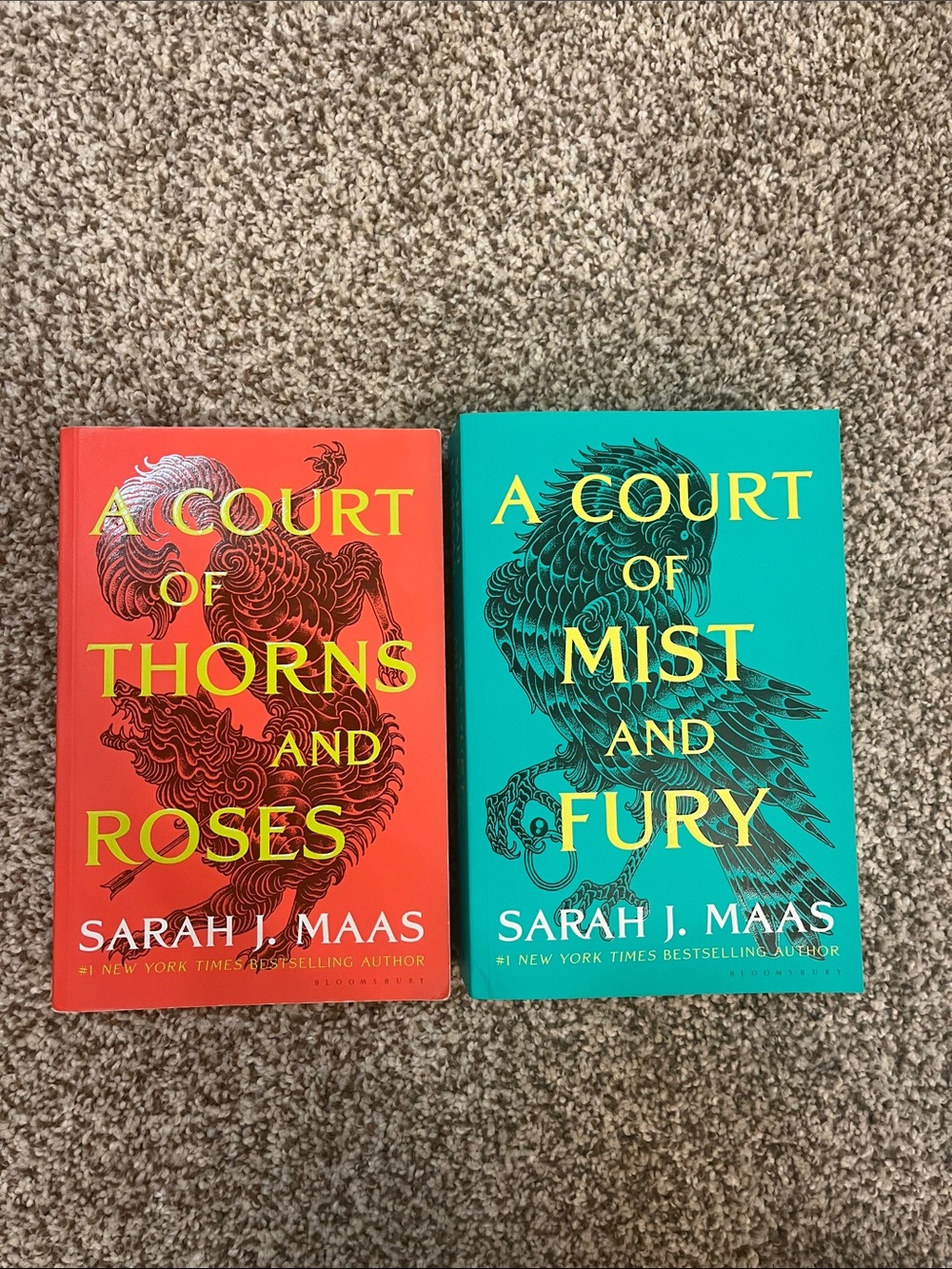 A Court of Thorns and Roses and A Court of Mist and Fury